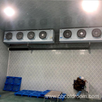 Hot Selling Cold Room/Cold Storage
